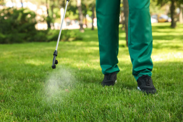 Best Termite Control Services  in Shirley, NY