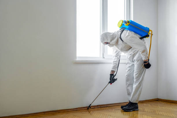 Pest Control Cost in Shirley, NY