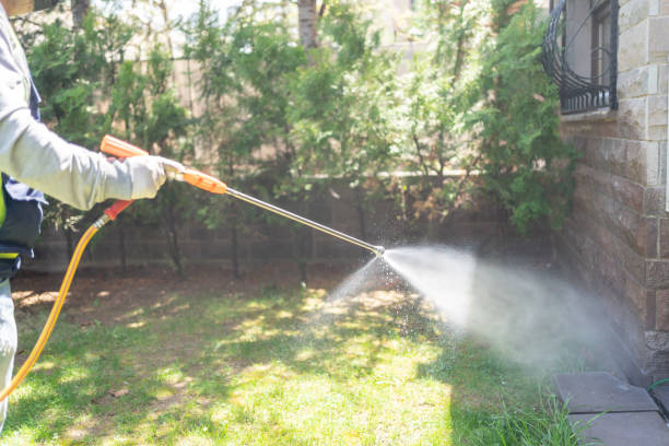 Best Local Pest Control Services  in Shirley, NY