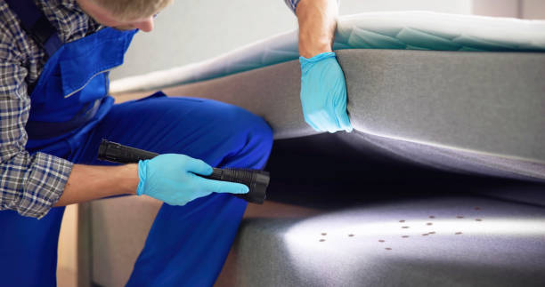 Best Best Pest Control Near Me  in Shirley, NY
