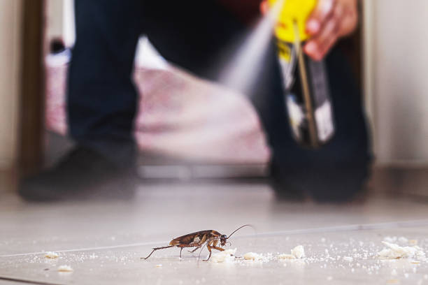 Best Pest Control Near Me in Shirley, NY